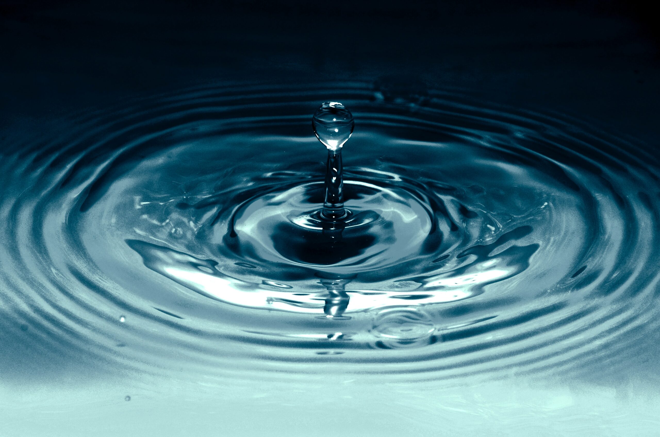 Alexforbes Investments releases 2026 Stewardship Report